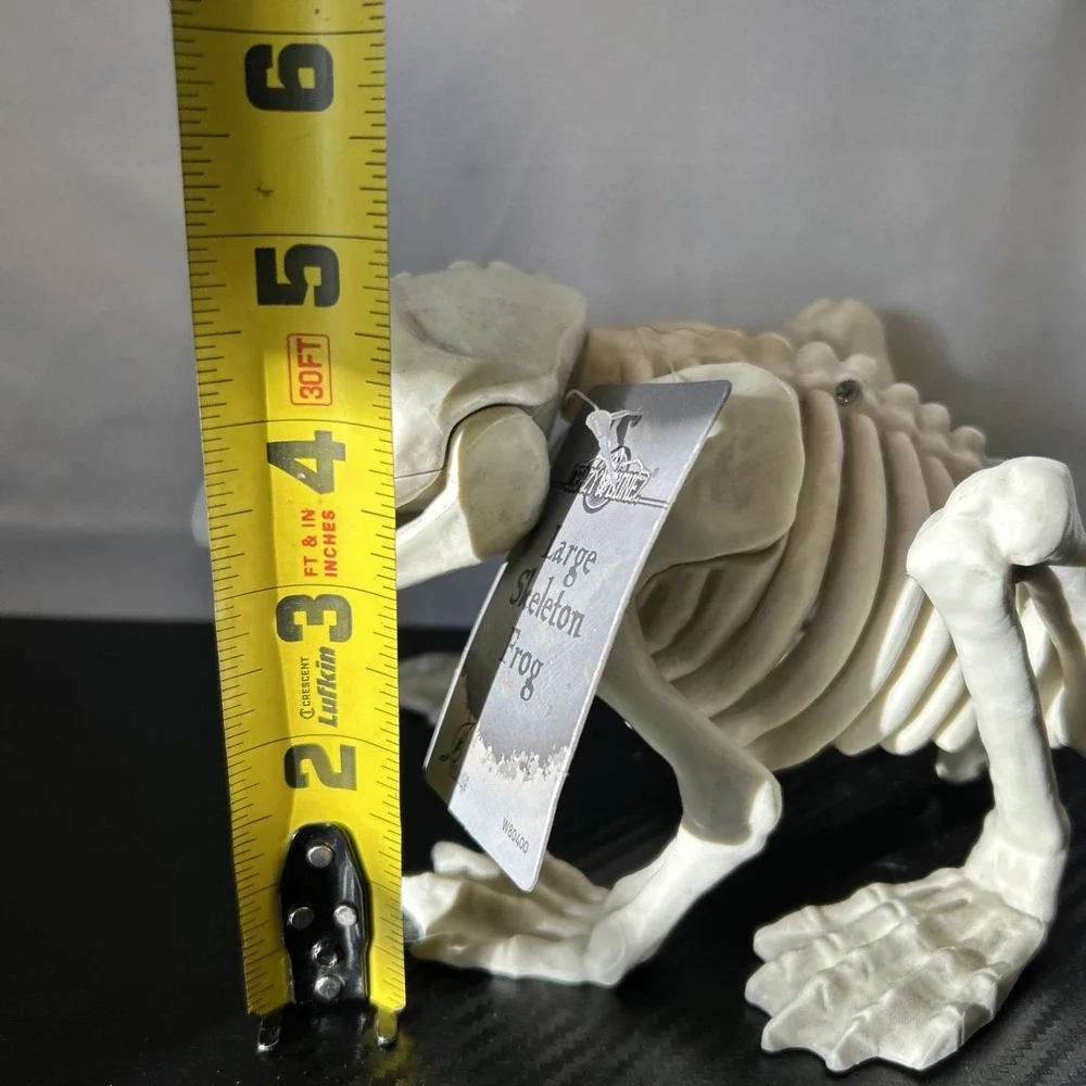Spooky Village Frog Skeleton Halloween Decoration‎